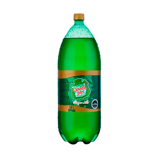 Bebida Ginger Ale 3Lt X